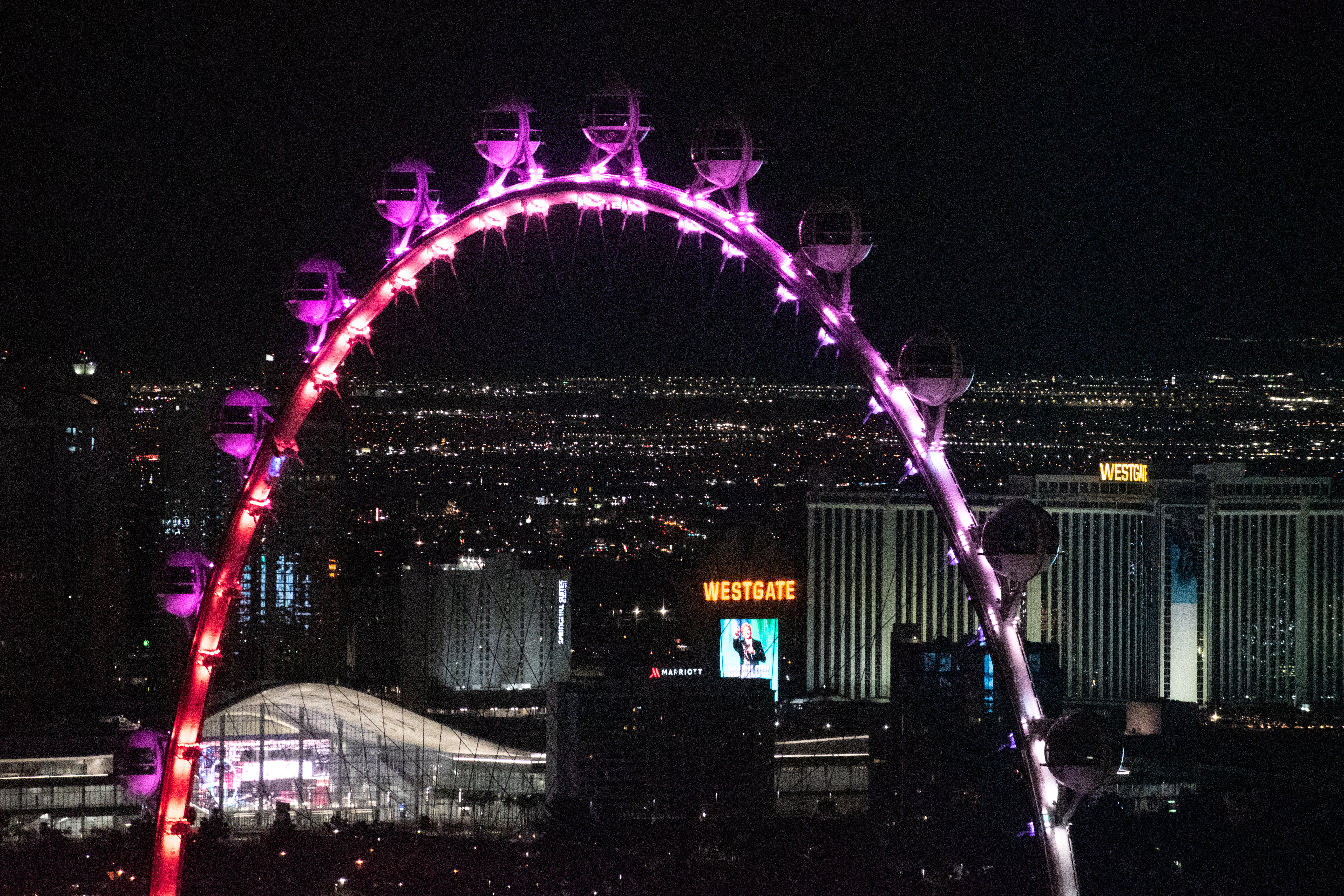 highrollervegas2